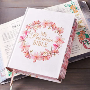 My Promise Bible